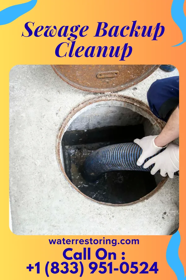 Sewage Backup Cleanup in Cornwall, PA