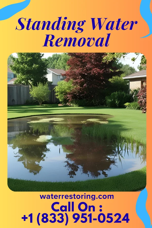 Standing Water Removal in Cornwall, PA